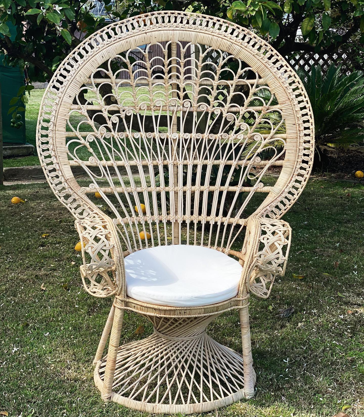 Boho chairs for sale sale